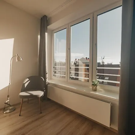 New Luxurious In The City Centre 플젠
